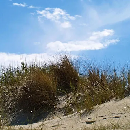Semi-detached Houses, Auf Foehr 펜션