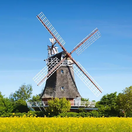 Semi-detached Houses, Auf Foehr *