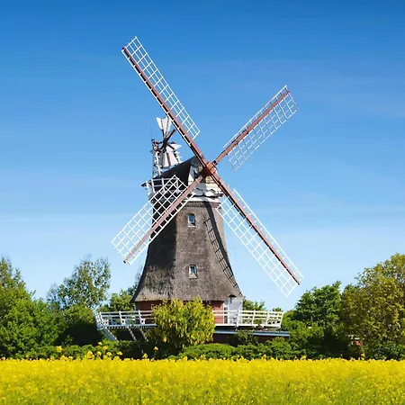 Semi-detached Houses, Auf Foehr בית נופש